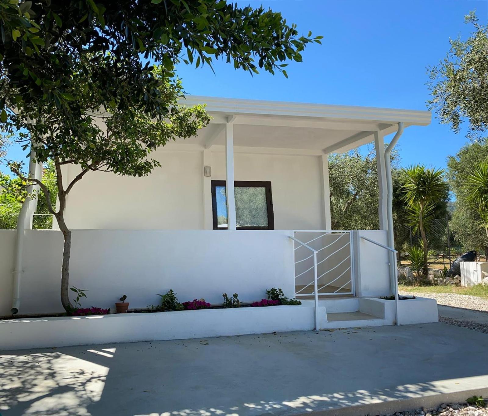 B&B Direttamente Sul Mare Da Antonino Mattinata Exterior foto
